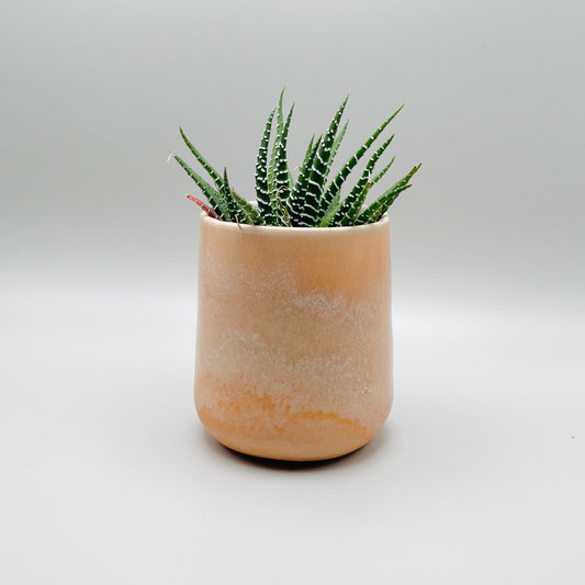 Mini Tangerine Pot